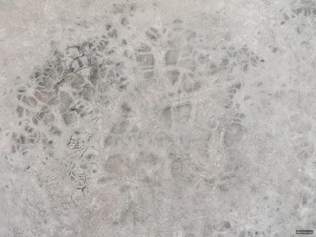Albarnous Maison D'Hotes Tanger Ngoại thất bức ảnh